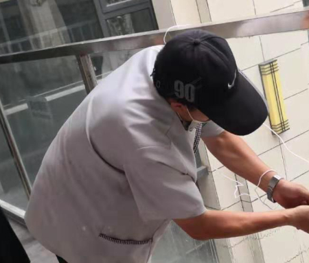 绿植养护服务